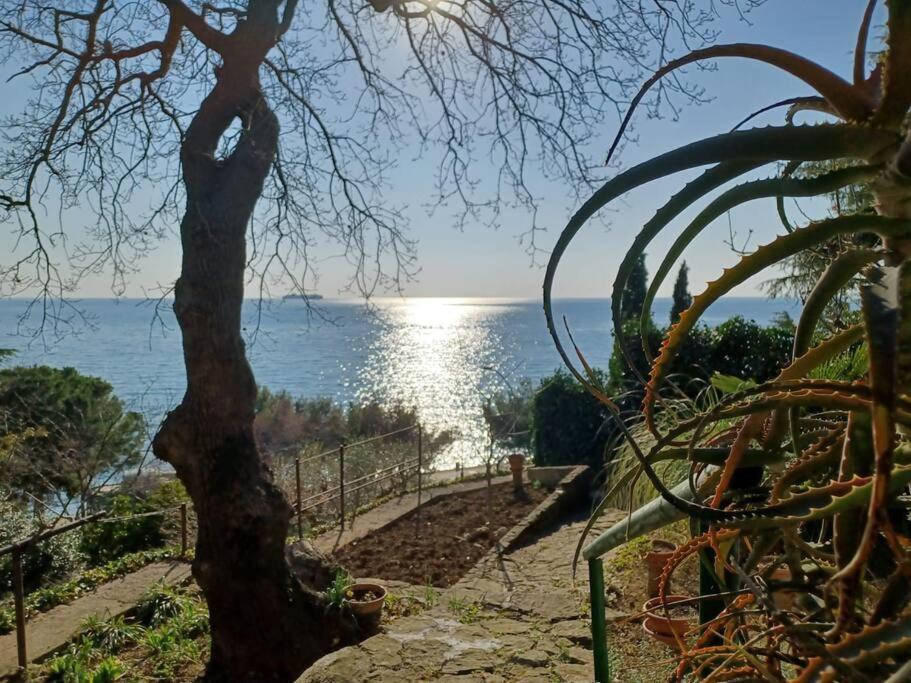 Brezza Marina - Appartamento In Villa Fronte Mare Triëst Buitenkant foto